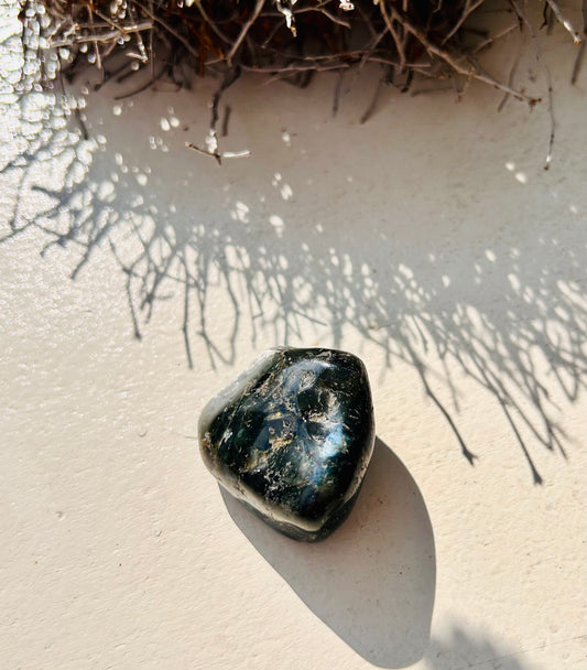 Pierre roulée de larvikite