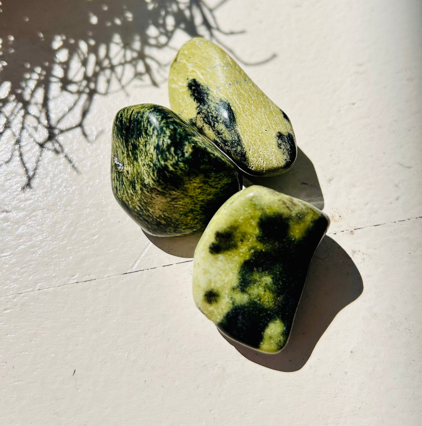 Pierre roulée de Chytha (serpentine avec chromite)