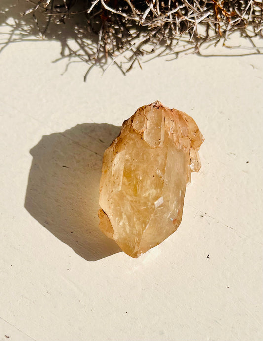 Kundalini - Nature - Citrine