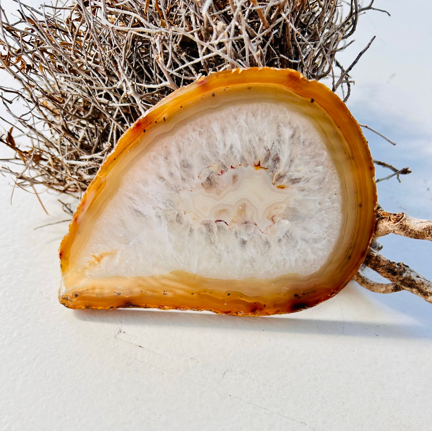 Tranche d'agate | Unique