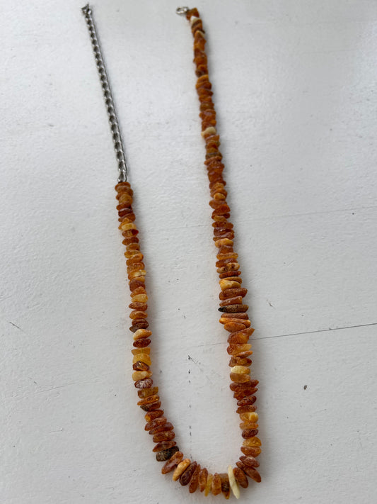 Collier pour chien en ambre