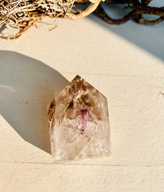 Quartz fumé/Améthyste fantôme | Unique