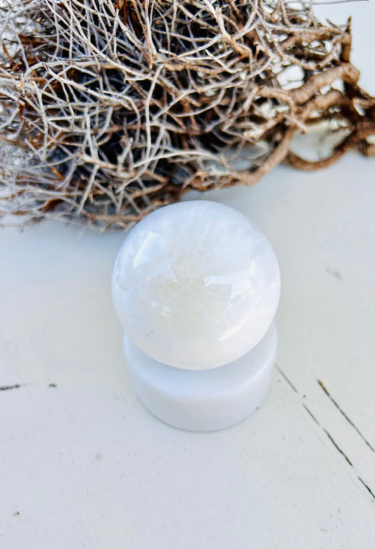 Porte-balle noir mat