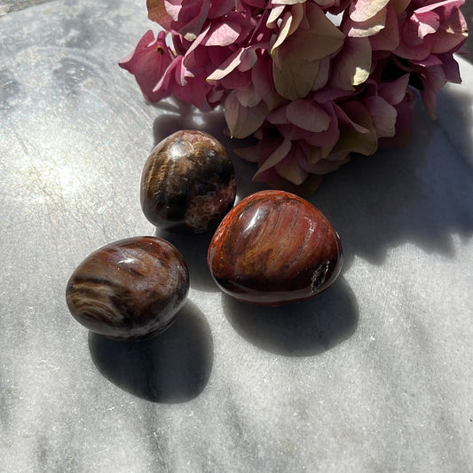 Pierre roulée en bois pétrifié