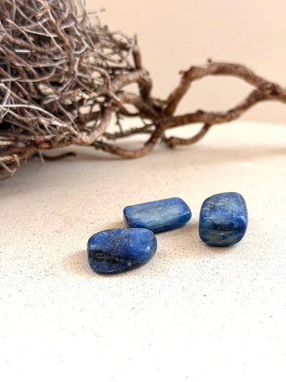 Disthen Trommelstein