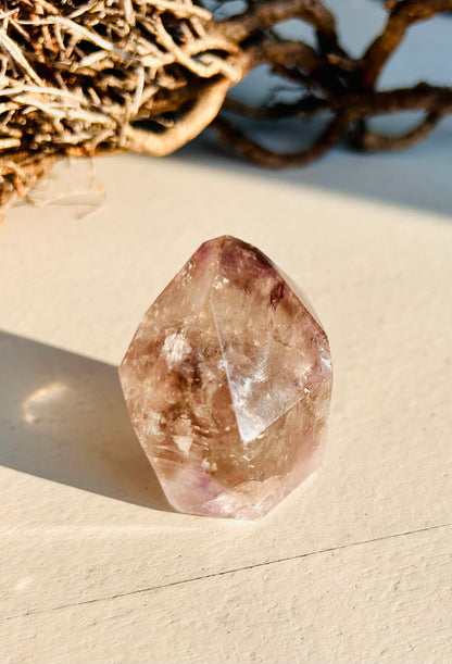 Quartz fumé/Améthyste fantôme | Unique