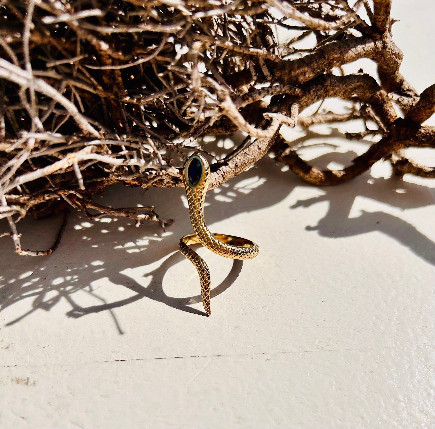 Serpent à anneaux