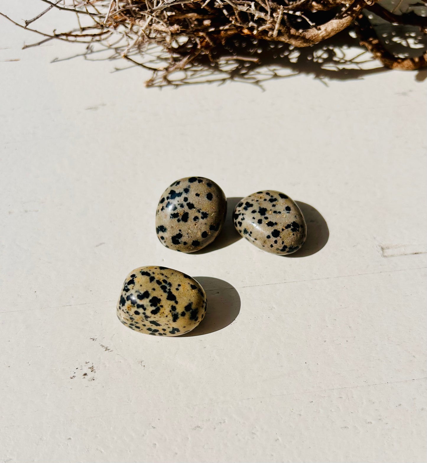 Jaspe dalmatien pierre roulée