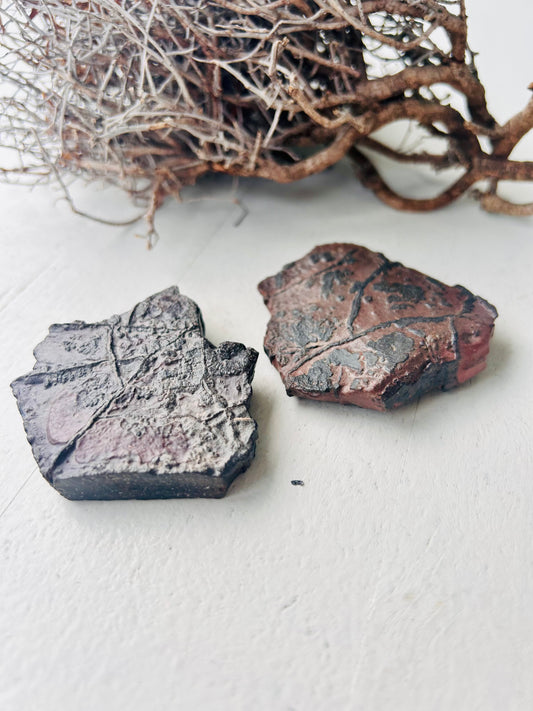 Minerai de fer – L'alternative puissante au tsésit