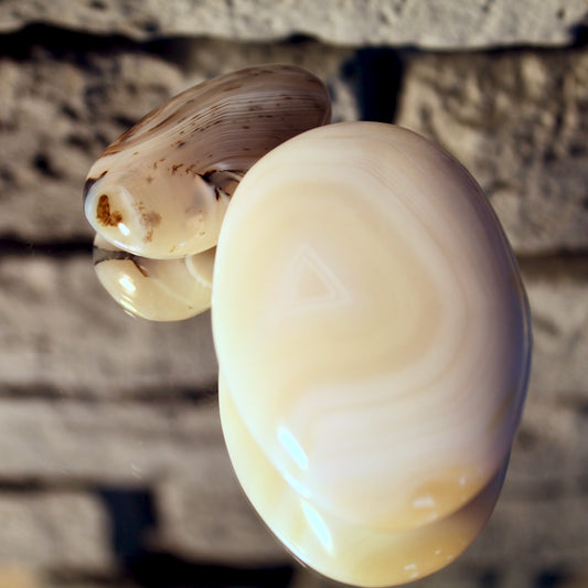 Agate stéatite